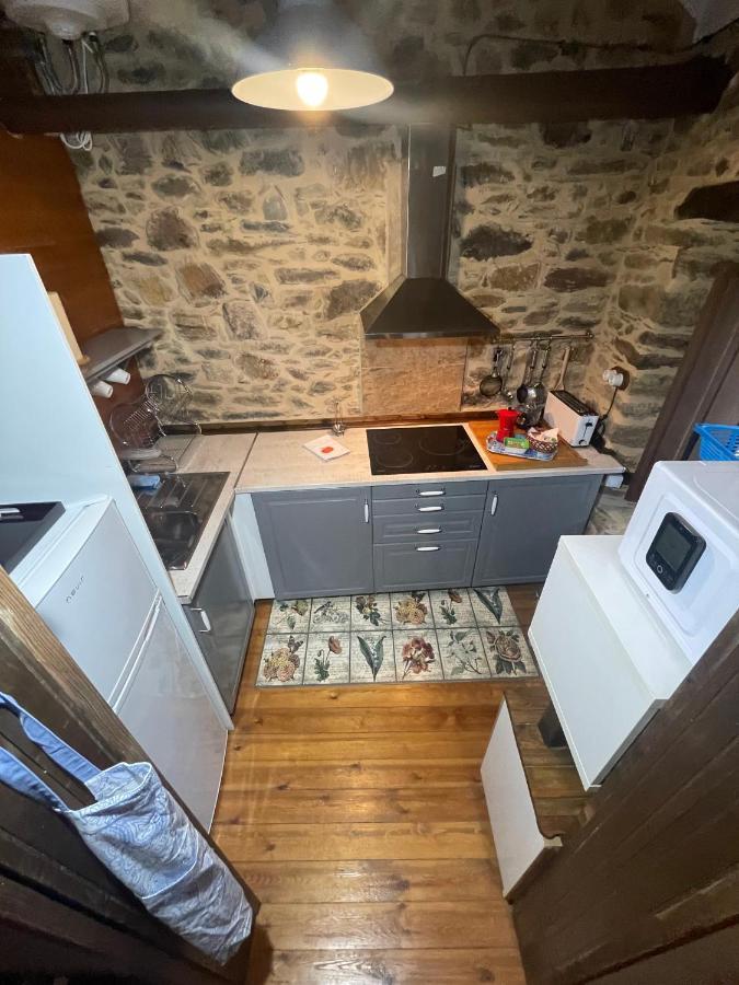 Apartamento Felicitas En La Casa De Cobos, Ribeira Sacra Puebla Del Brollon Εξωτερικό φωτογραφία